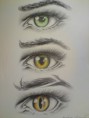 /album/drawing/dsc01062-jpg/